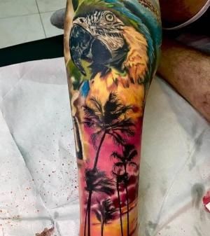 wallpapers Los Mejores Tatuajes En El Brazo Para Hombres A Color 8 tatuajes temporales para hombres tatuaje falso de bicicleta disenos de moda para brazos hombros pecho y espalda tatuajes para ninos arte
